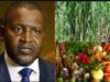 Dangote Deepens Agricultural Renewal, Backs 2025 National Agric Show
