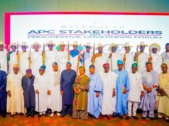 Progressive Governors Reaffirm Security as Top Priority, Back Tinubu’s Reform Agenda