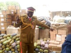 NDLEA Cracks Down in Jigawa, Seizes N2.8bn Drugs, Secures 136 Convictions