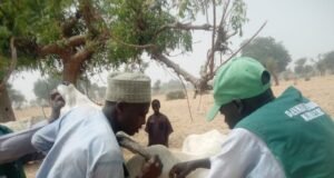 150,000 Cattle Vaccinated in Jigawa 1st Batch CBPP Control Exercise
