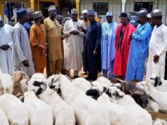 Eid-el-Kabir: Gov Namadi’s SSA Gifts Rams to APC Leaders in Dutse